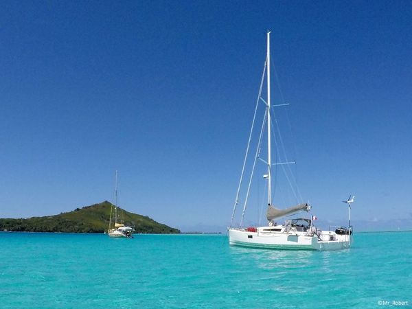 Pogo 12.50 | Raceberry