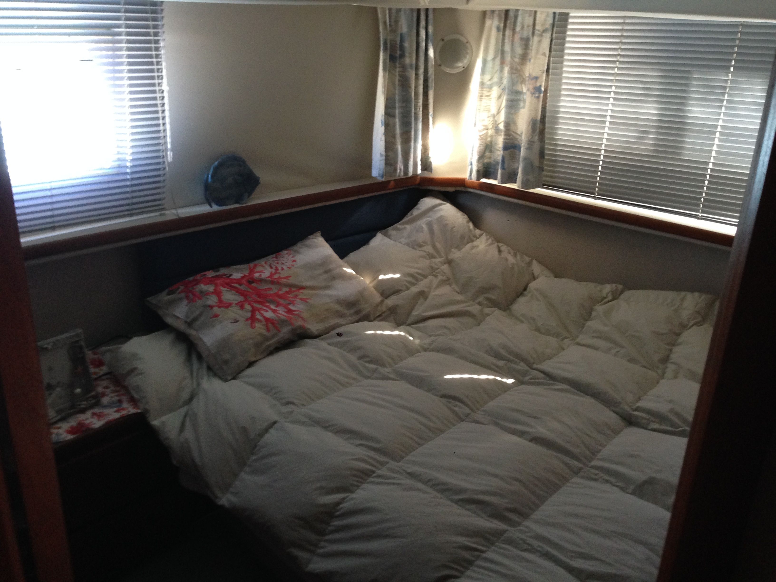 Carver 350 | Nipalima