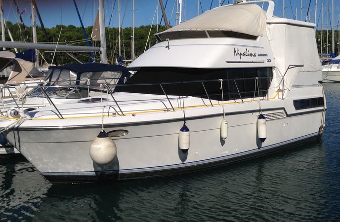 Carver 350 | Nipalima