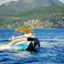 Marlin 21 | Marlin
