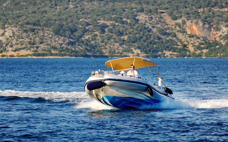 Marlin 21 | Marlin