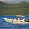 Marlin 21 | Marlin
