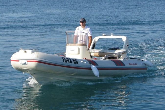 Barracuda 530 | Barracuda