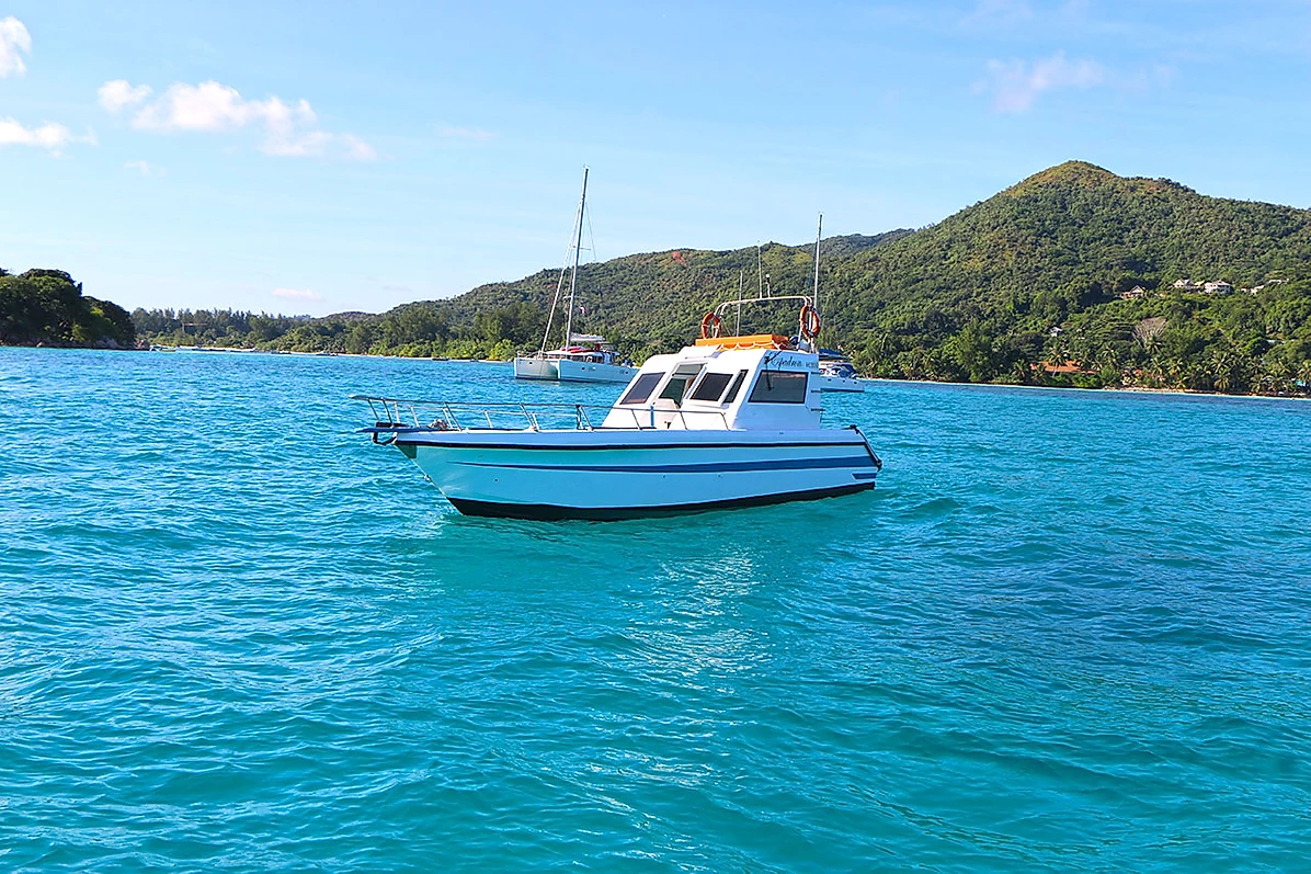 Custom Built 33 | Espadron