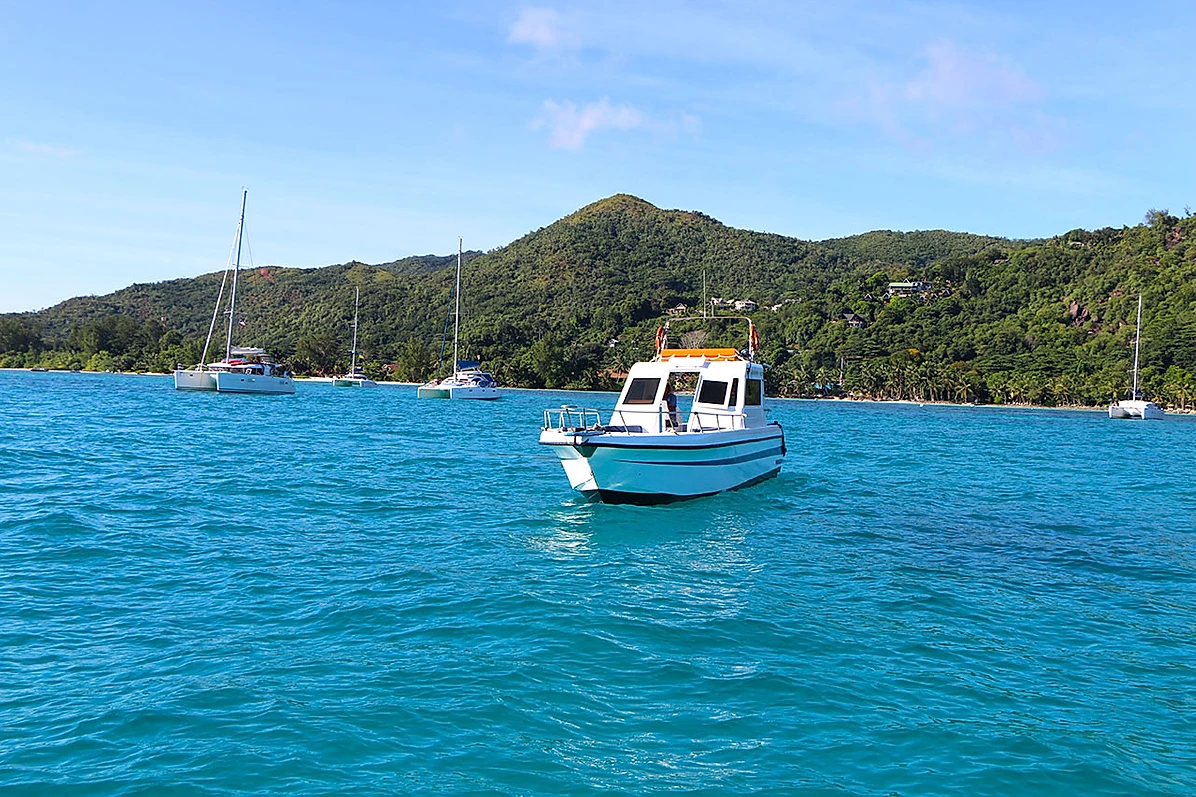 Custom Built 33 | Espadron