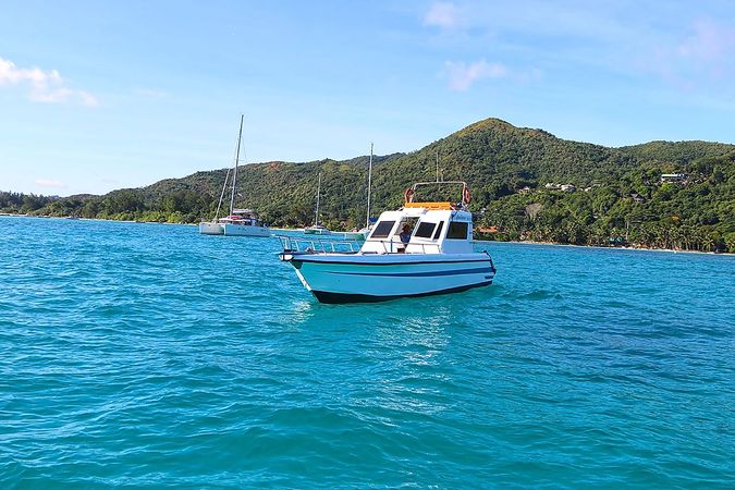 Custom Built 33 | Espadron