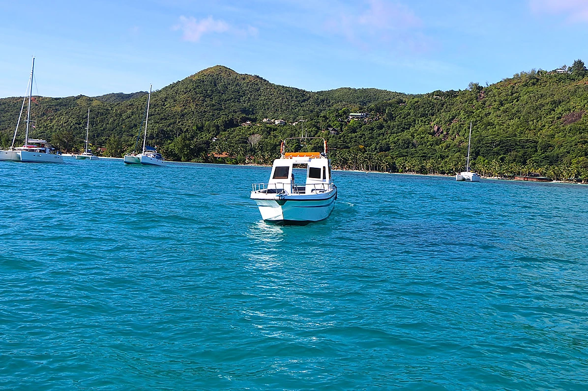 Custom Built 33 | Espadron