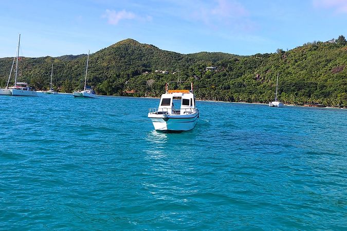 Custom Built 33 | Espadron