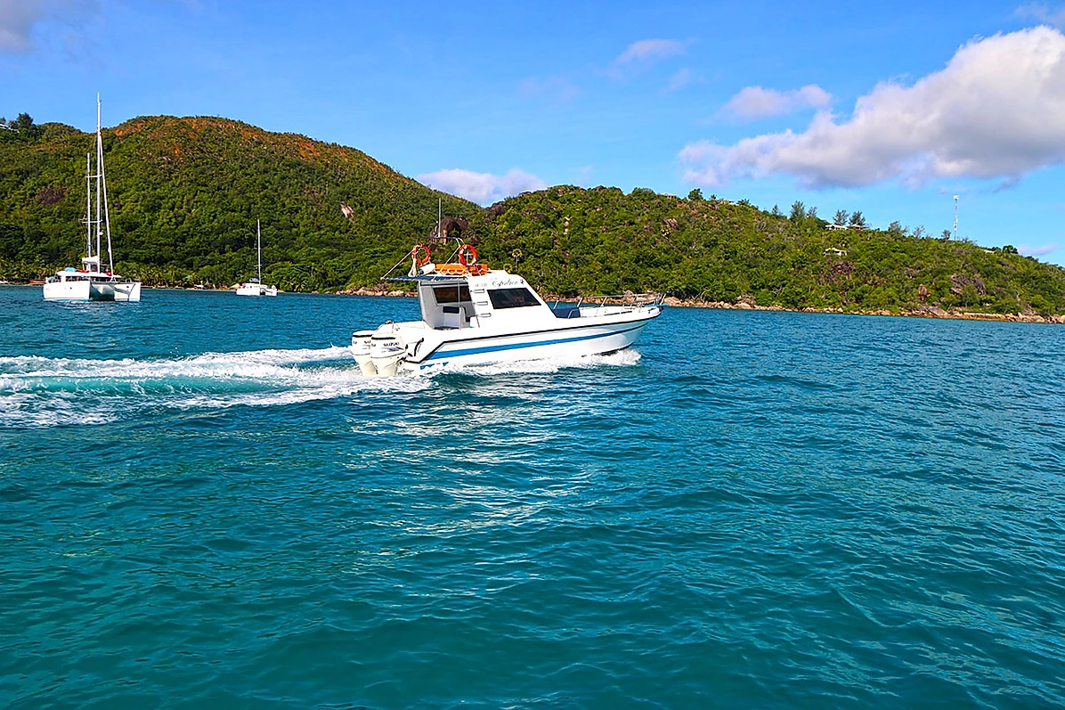 Custom Built 33 | Espadron