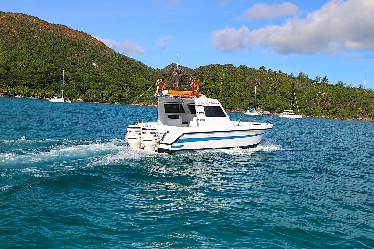 Custom Built 33 | Espadron