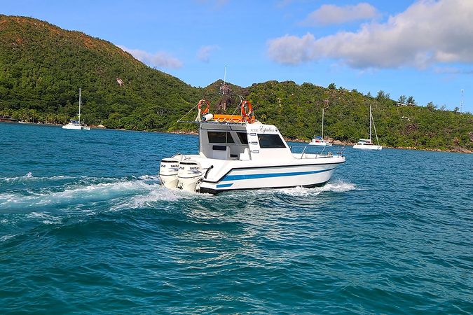 Custom Built 33 | Espadron