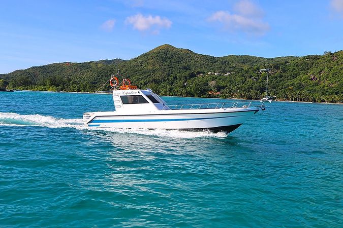 Custom Built 33 | Espadron