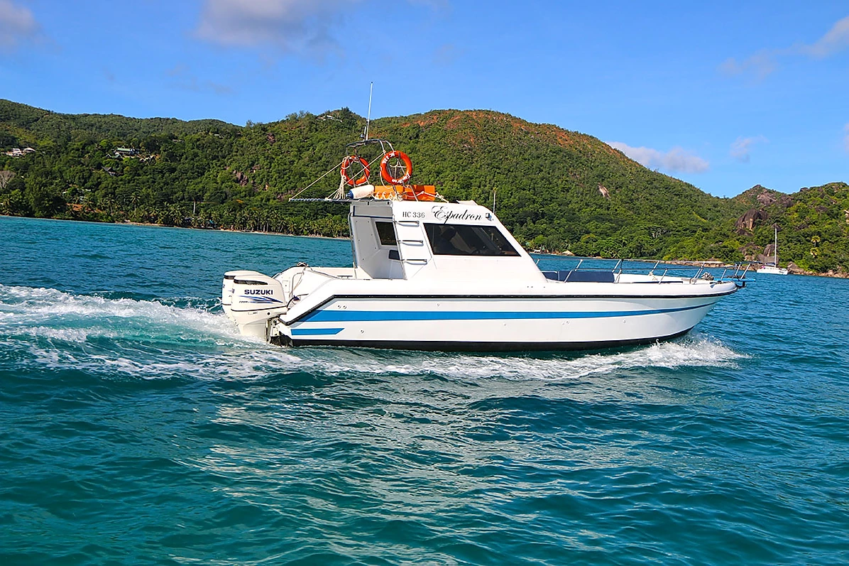 Custom Built 33 | Espadron