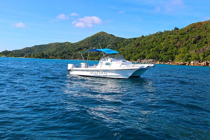 Custom Built 28 | Delfino