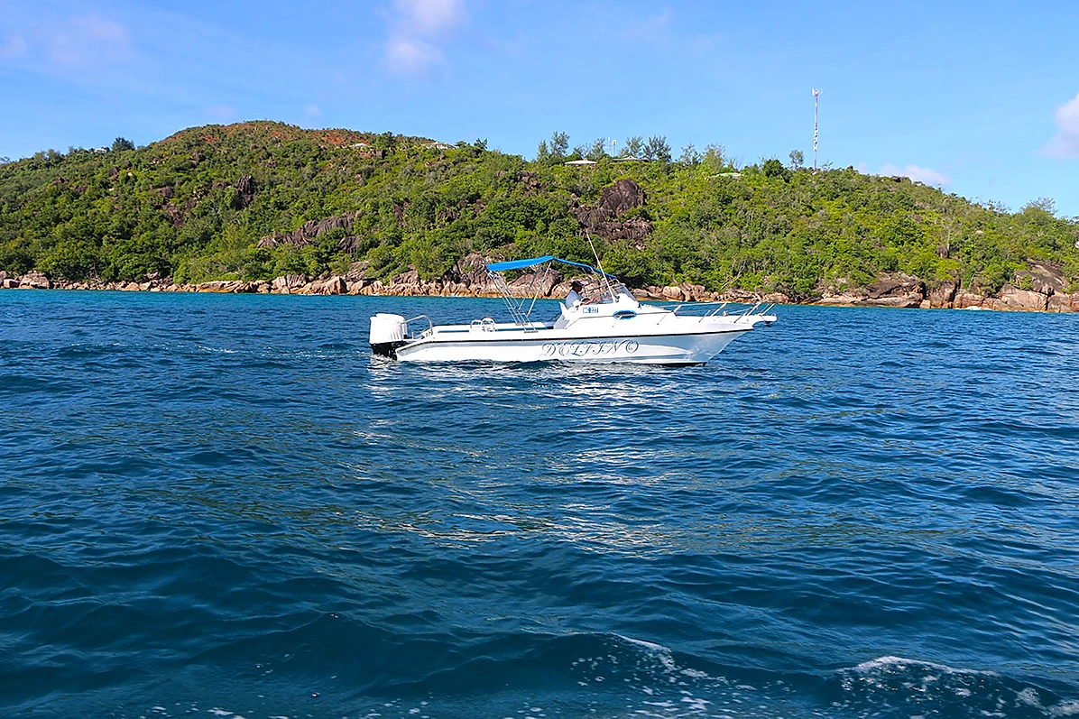 Custom Built 28 | Delfino