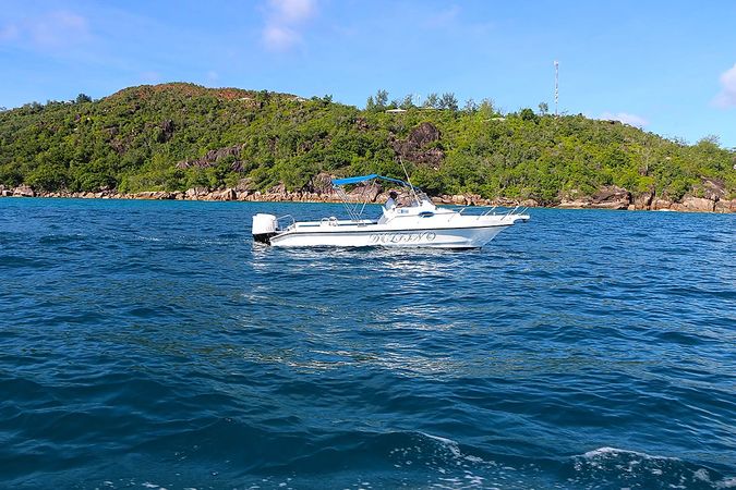 Custom Built 28 | Delfino