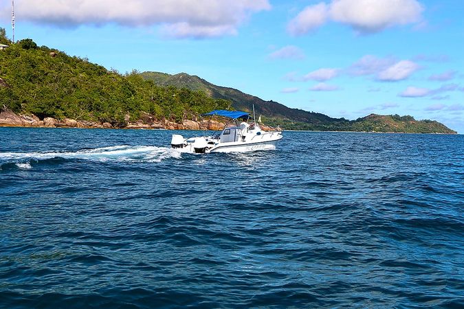 Custom Built 28 | Delfino