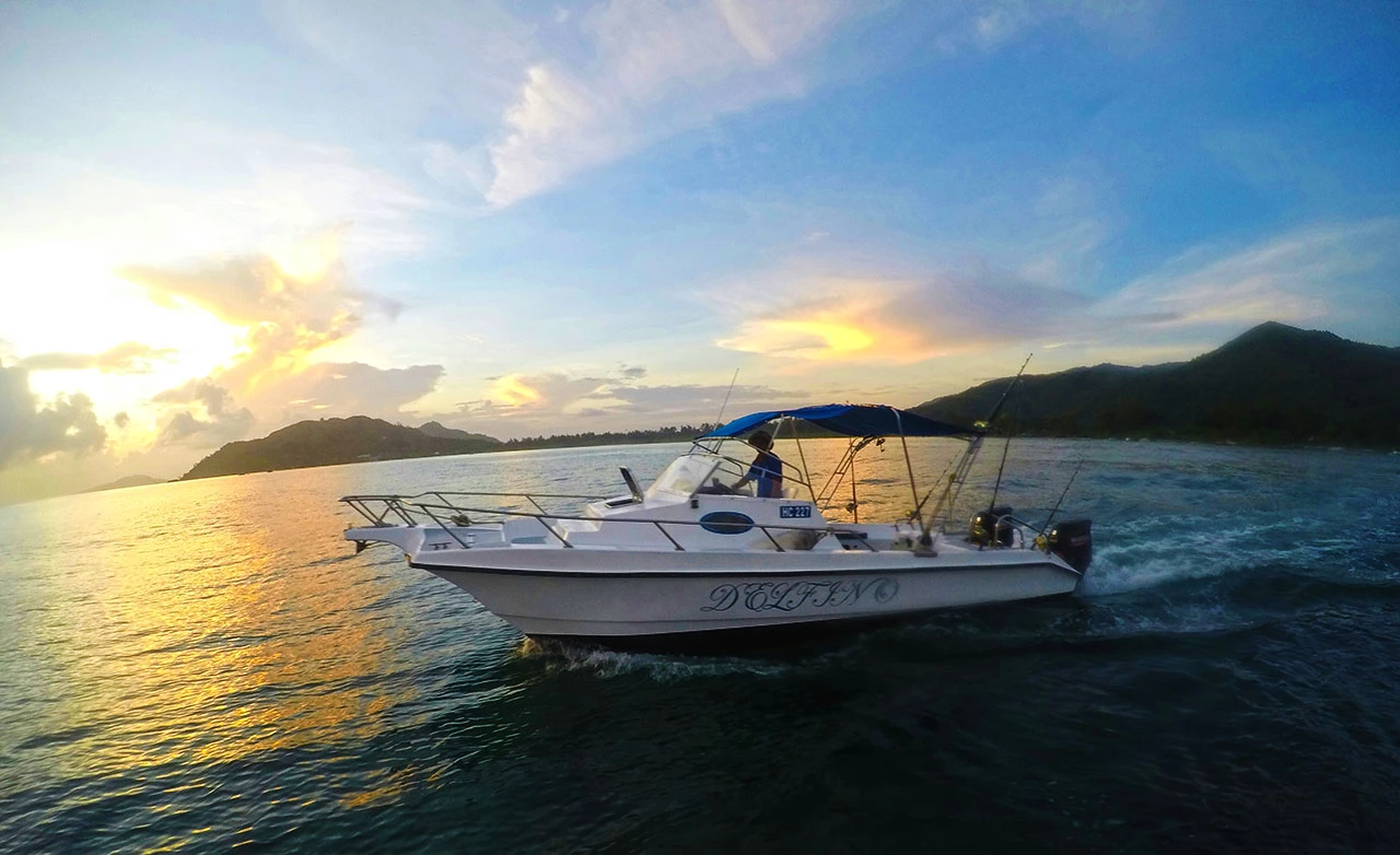 Custom Built 28 | Delfino