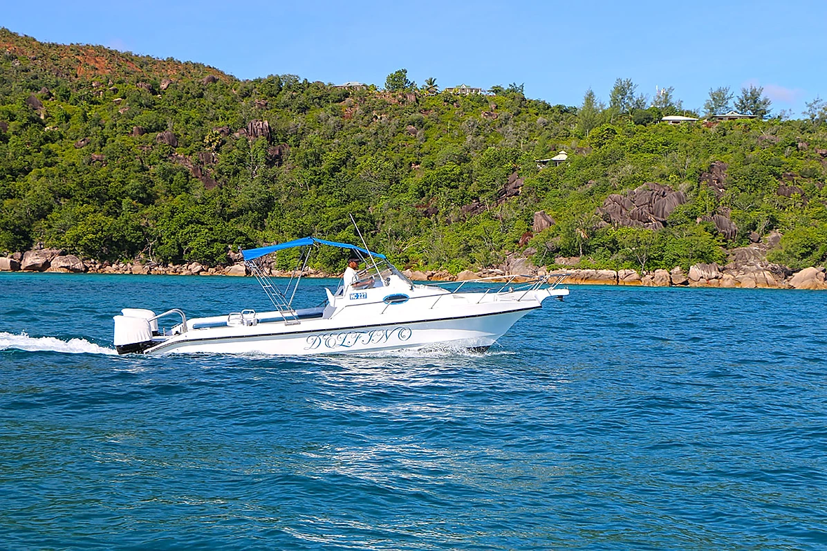 Custom Built 28 | Delfino