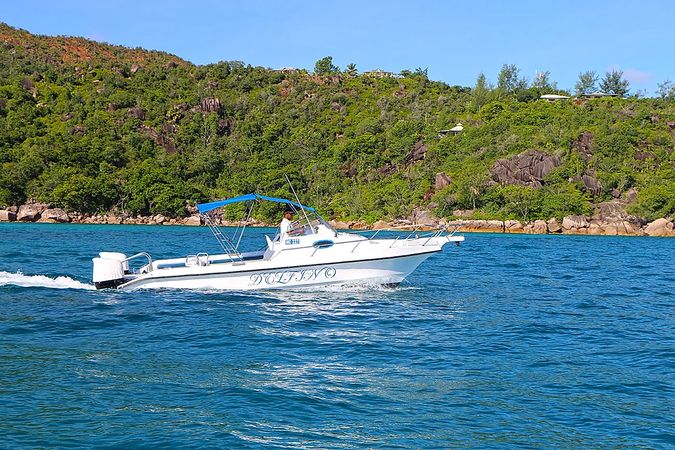 Custom Built 28 | Delfino