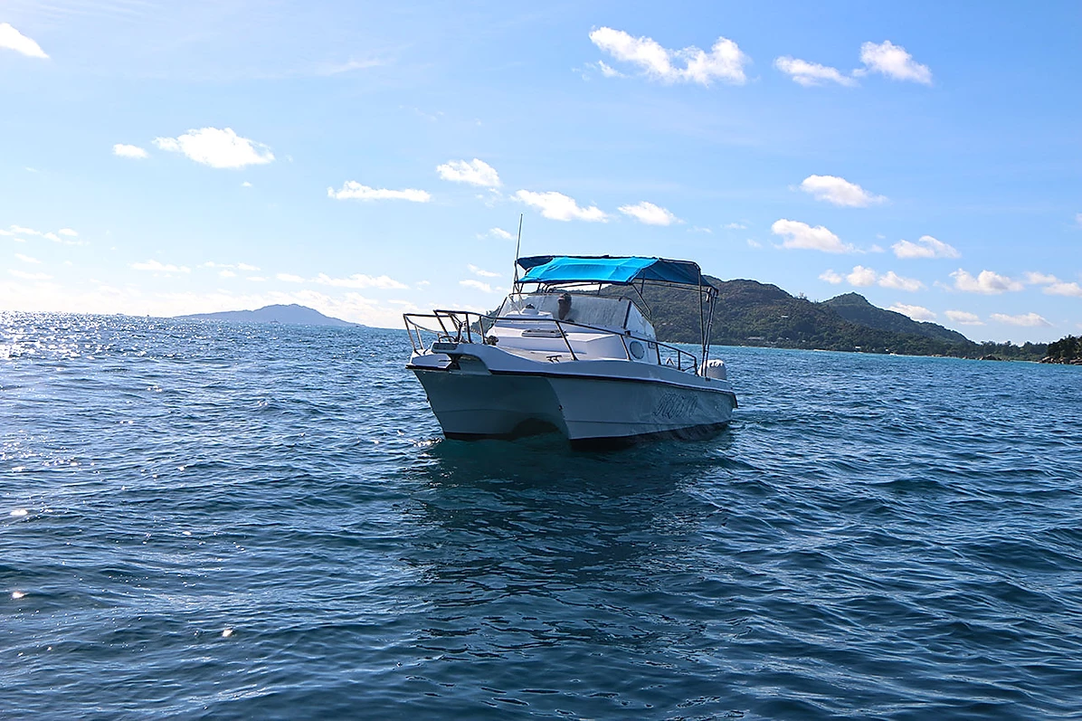 Custom Built 28 | Delfino