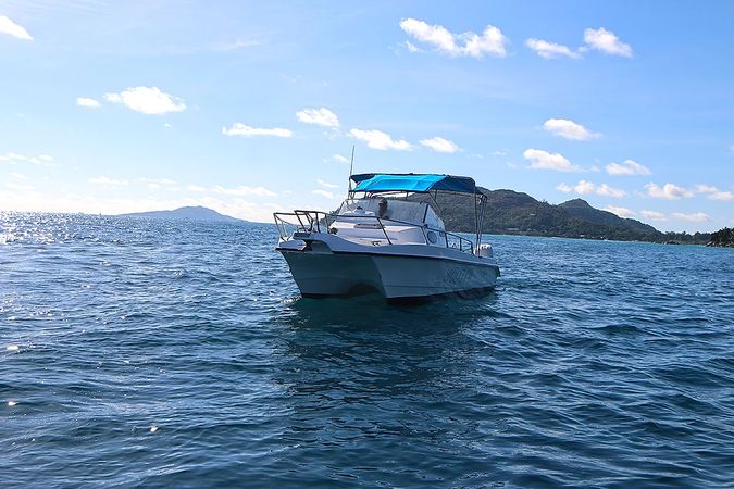 Custom Built 28 | Delfino