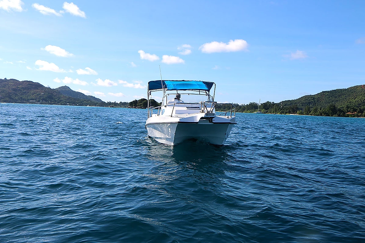 Custom Built 28 | Delfino