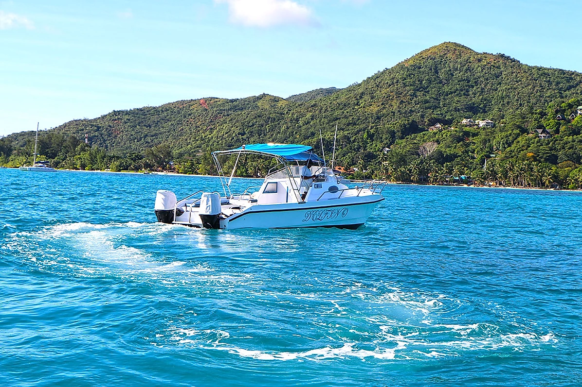 Custom Built 28 | Delfino