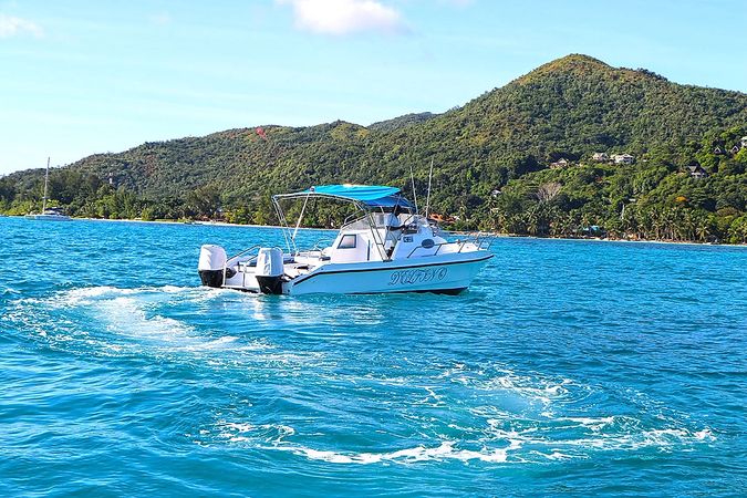 Custom Built 28 | Delfino