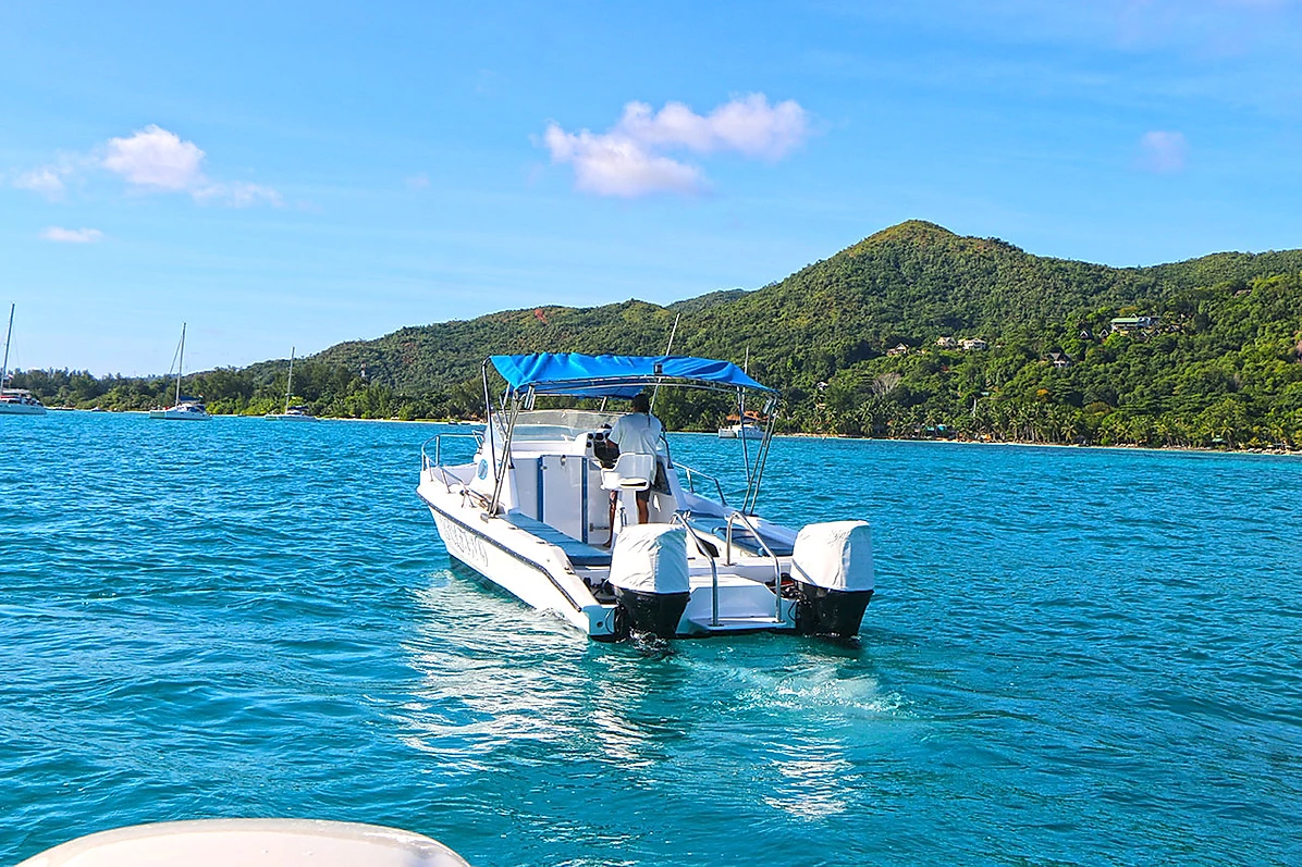 Custom Built 28 | Delfino