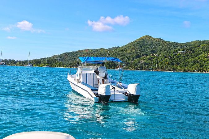 Custom Built 28 | Delfino