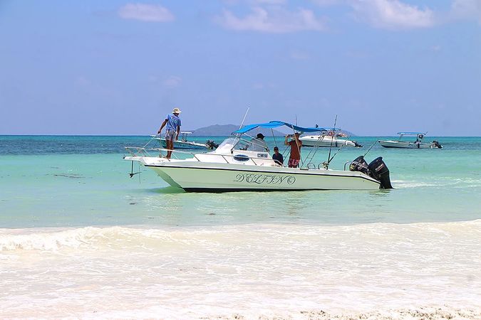 Custom Built 28 | Delfino