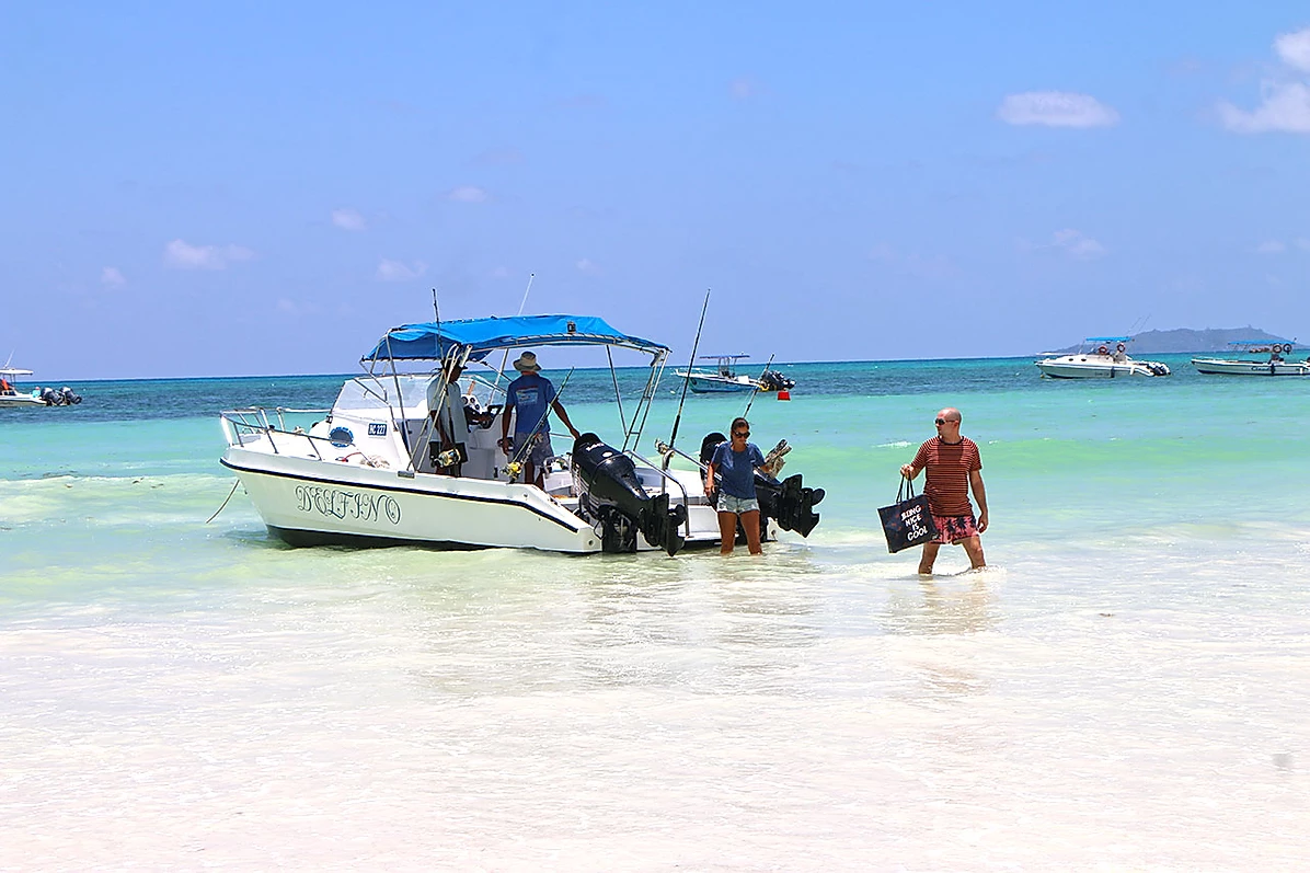 Custom Built 28 | Delfino