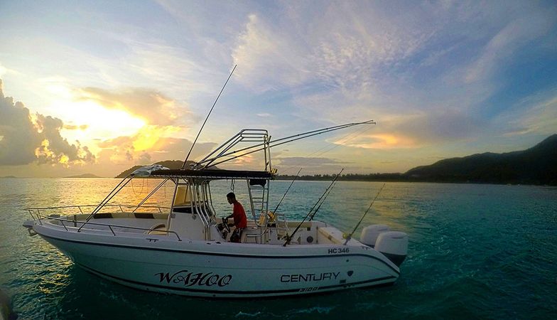 Custom Built Century 1300 | Wahoo