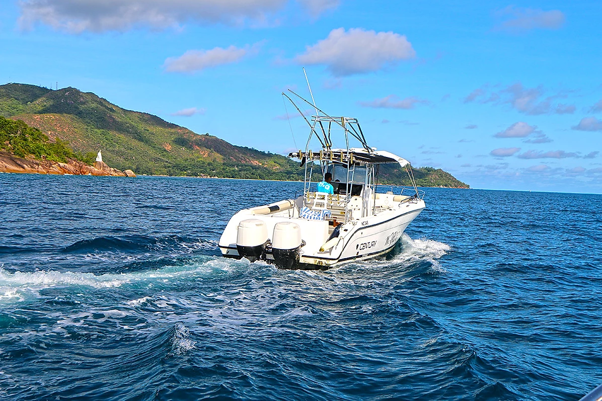 Custom Built Century 1300 | Wahoo