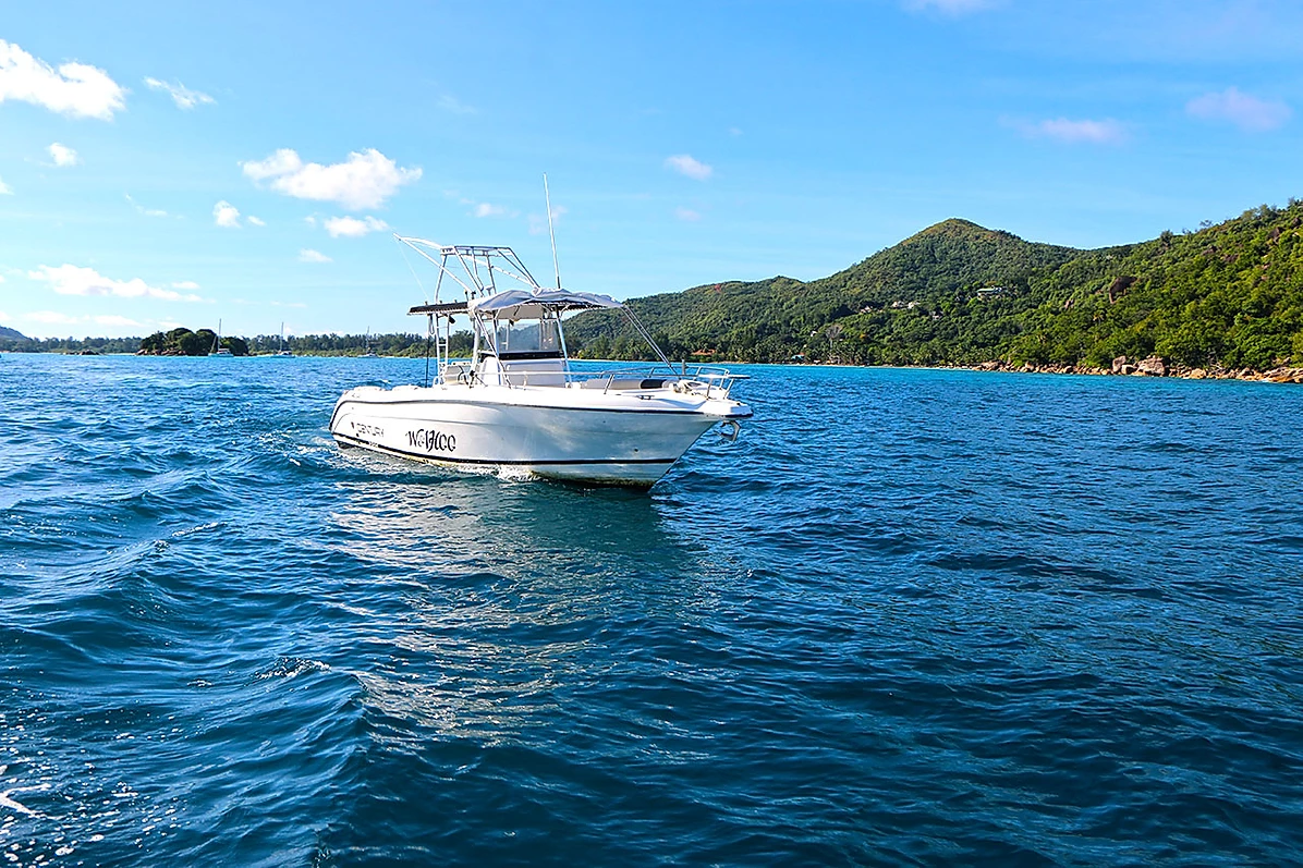 Custom Built Century 1300 | Wahoo