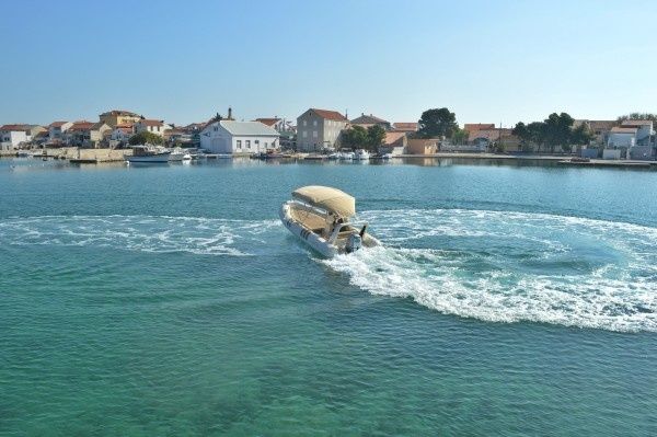 Barracuda 530 | Amfora