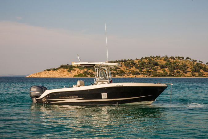 Hydra Sports Vector 2500 | Dileon