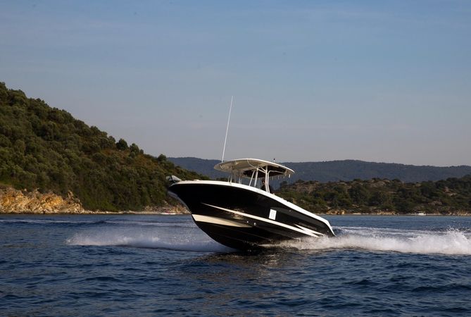 Hydra Sports Vector 2500 | Dileon