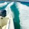 Hydra Sports Vector 2500 | Dileon