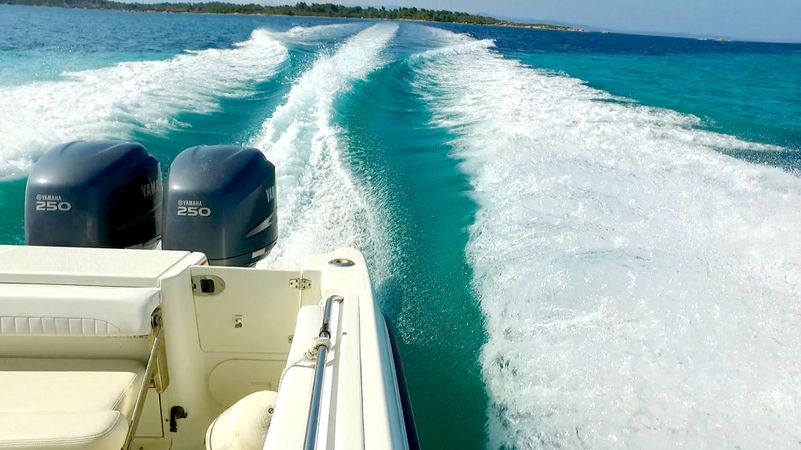 Hydra Sports Vector 2500 | Dileon