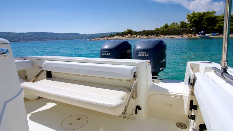Hydra Sports Vector 2500 | Dileon