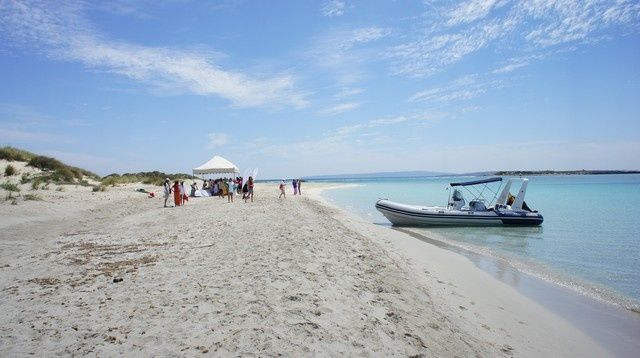 Valiant 750 | Mojo Uno