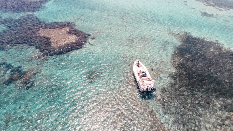 Valiant 750 | Mojo Uno