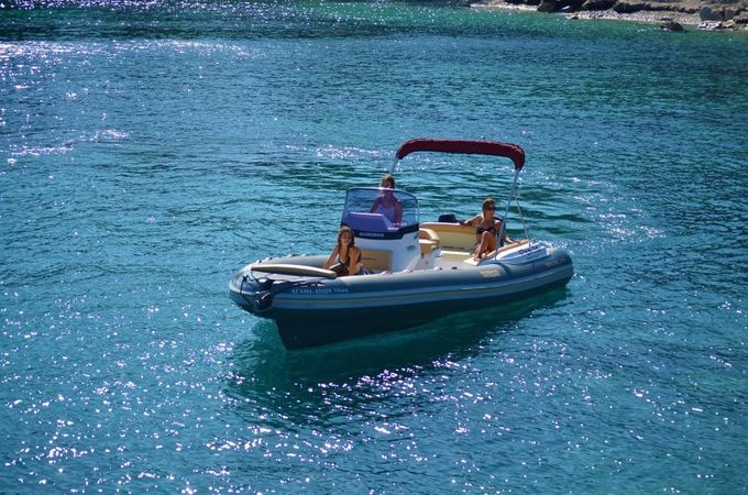 Salpa Soleil 23 | Agamemnon