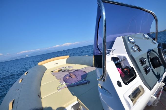 Salpa Soleil 23 | Agamemnon