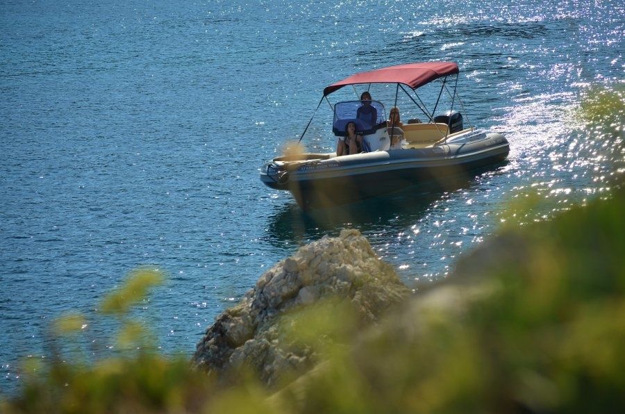 Salpa Soleil 23 | Agamemnon