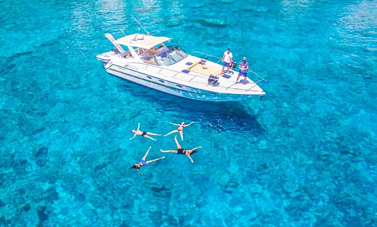 Cranchi 41 | Alegria