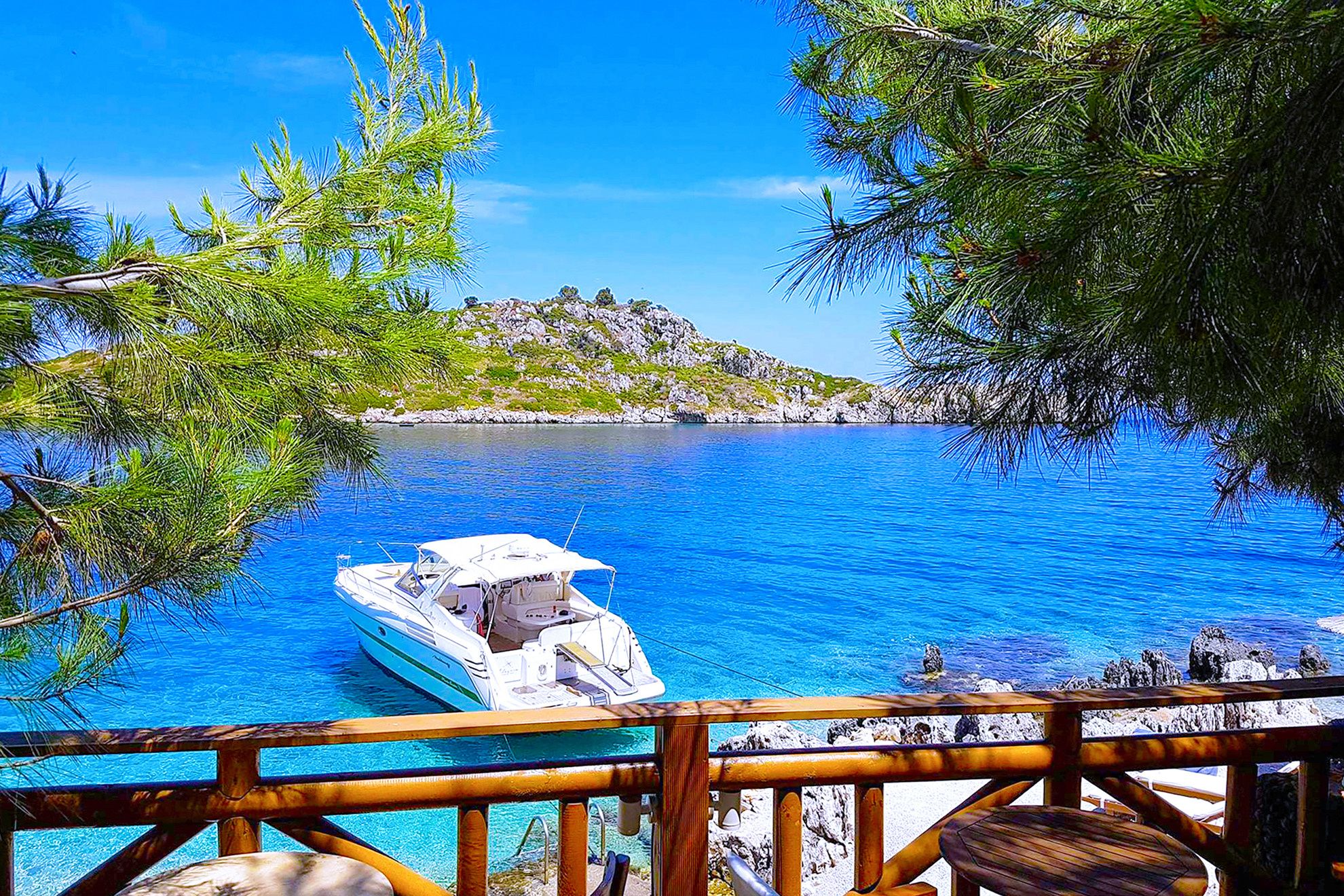 Cranchi 41 | Alegria