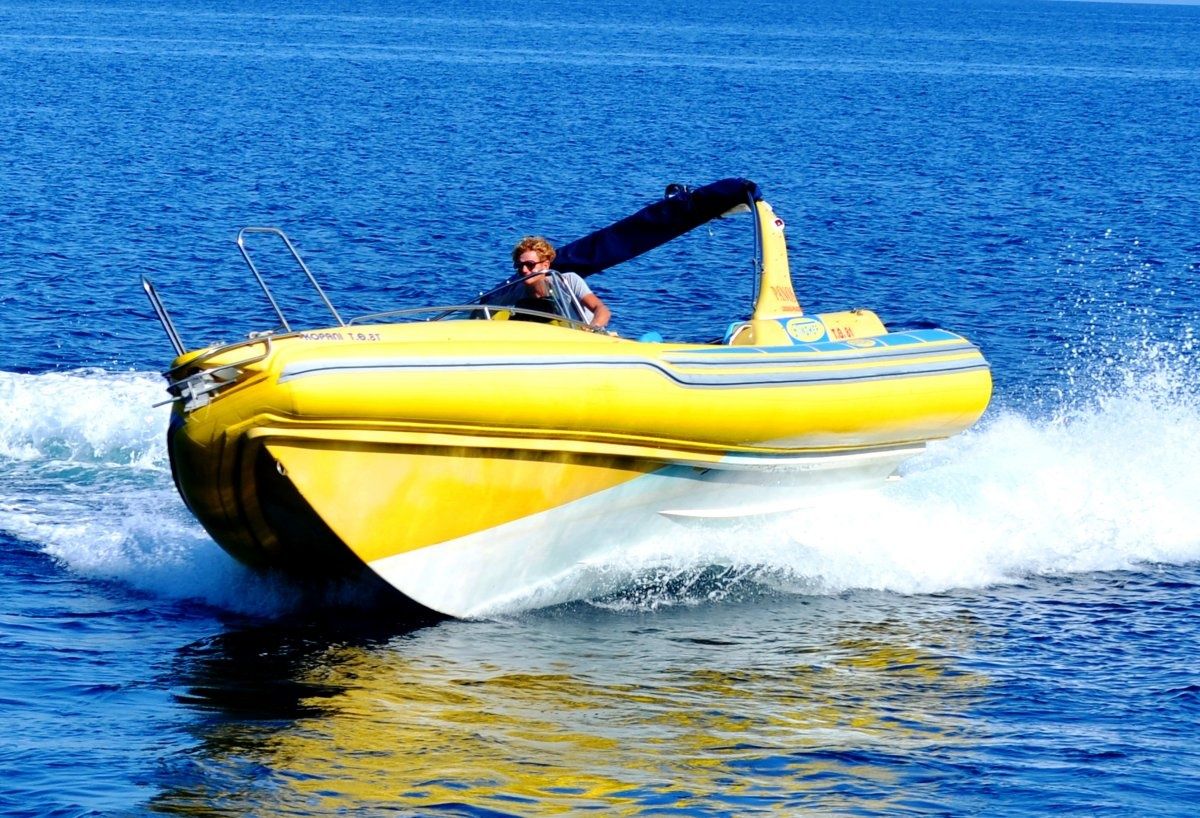 Stingher 747 | Apollon